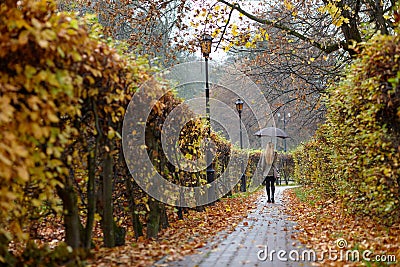 Spa park in NaÅ‚Ä™czÃ³w Editorial Stock Photo